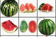 吃瓜娱乐背景板图片大全,盘点热门吃瓜娱乐背景板图片大全