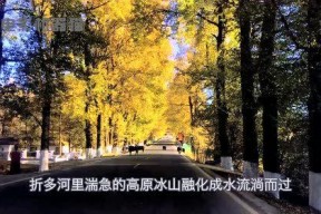 娱乐吃瓜君大丽花